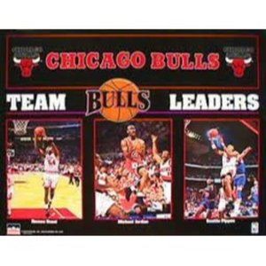 NEW! Vintage 1992-1993 Chicago Bulls Team Leaders NBA Poster